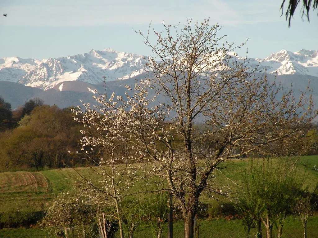 Bed and breakfast Chambres D'Hotes La Buissiere Campan Francia